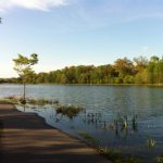 A Guide to College Park, MD